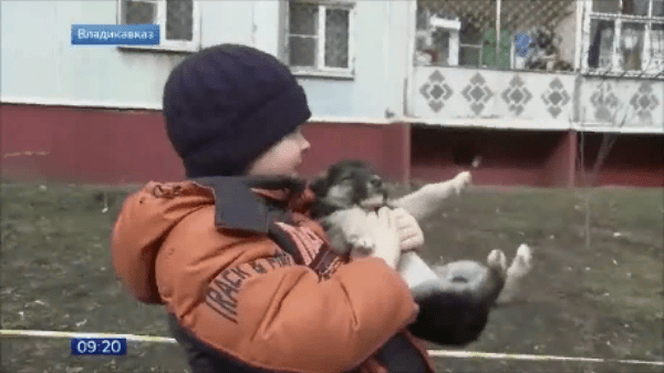 Мальчик спасает животных