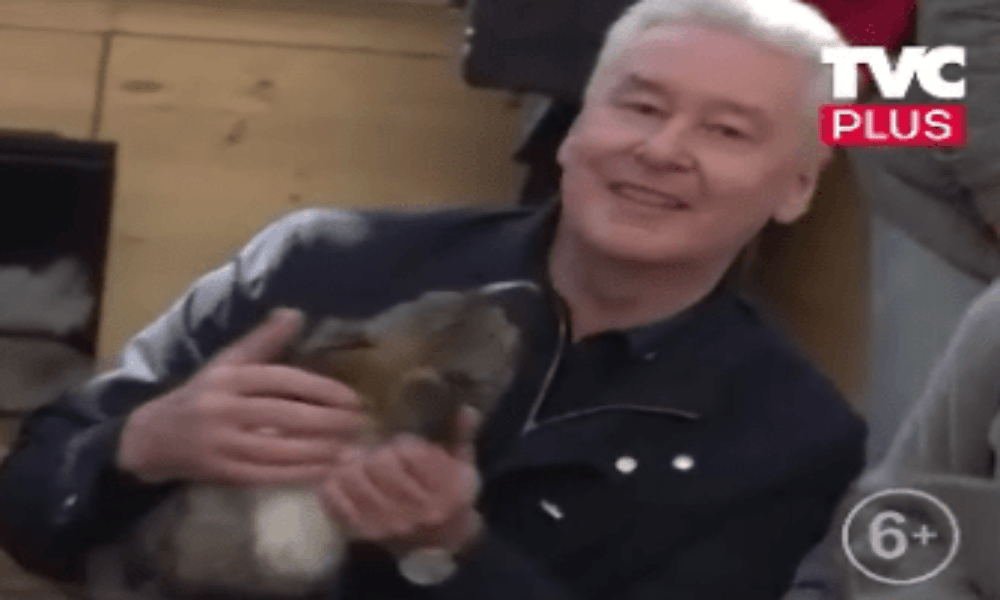 Мэр Москвы решил взять собаку из приюта