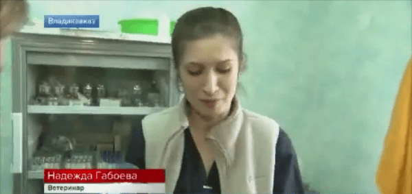 ветеринарный врач Надежда Габоева.