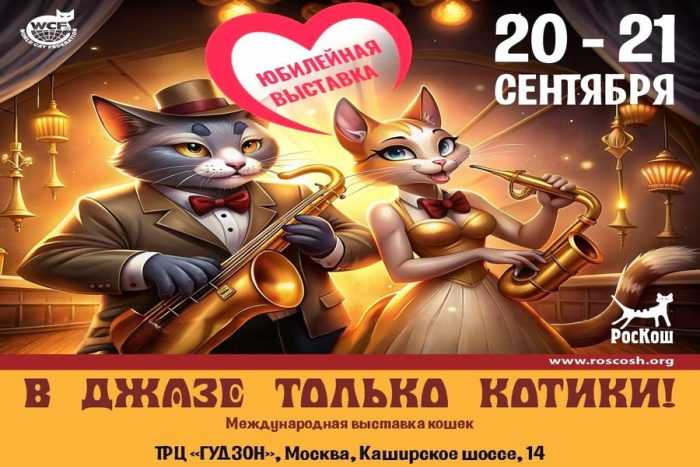 Международная выставка кошек в Москве