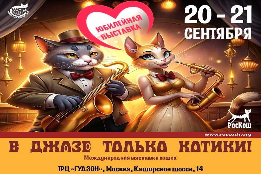 Международная выставка кошек в Москве