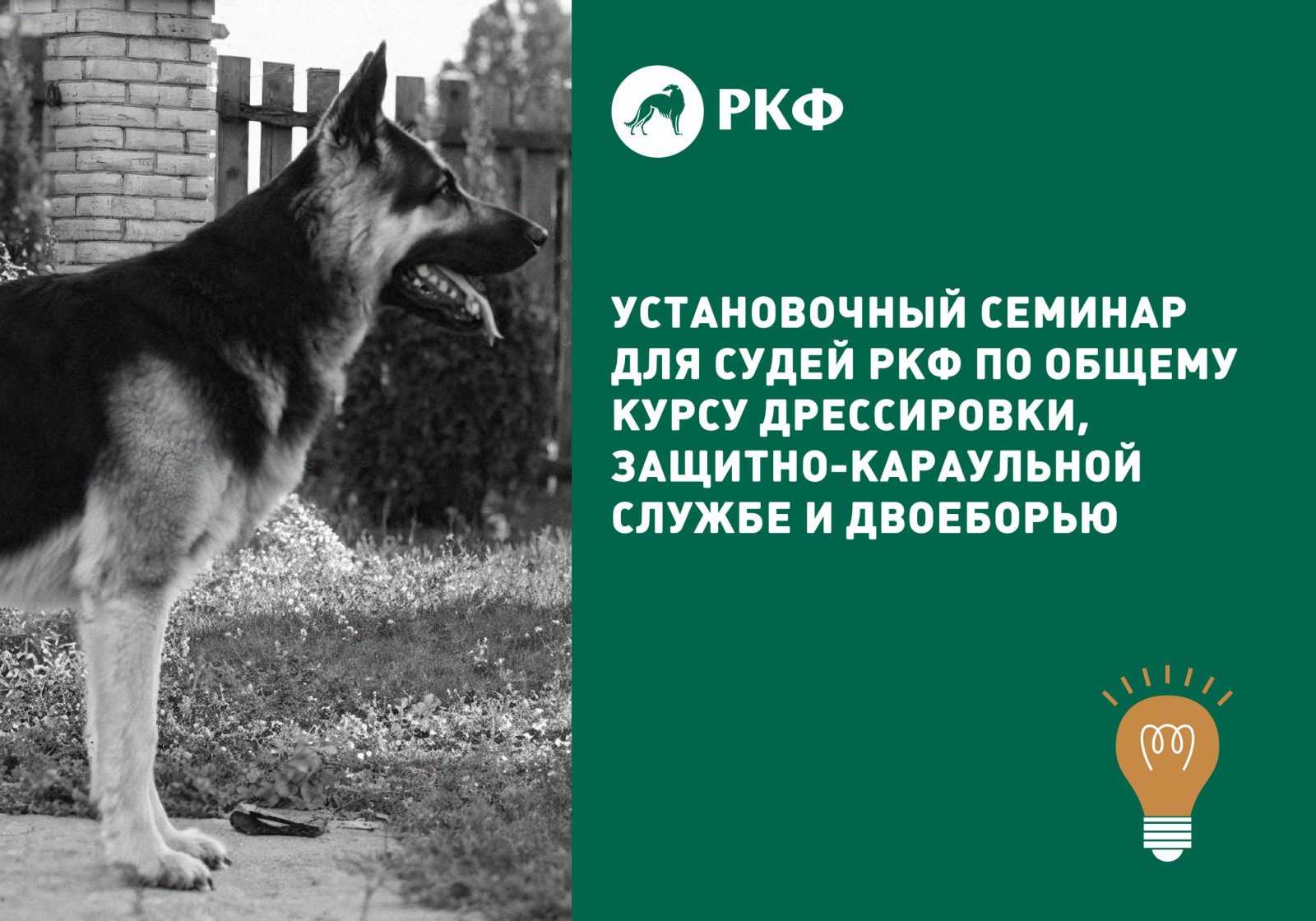 Установочный семинар для судей РКФ