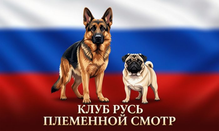 Племенной смотр. 30 октября 2026 г. Ногинск